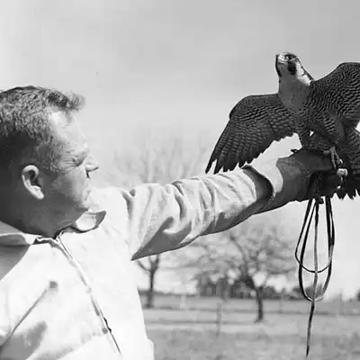 Honoree - Jack C. Young