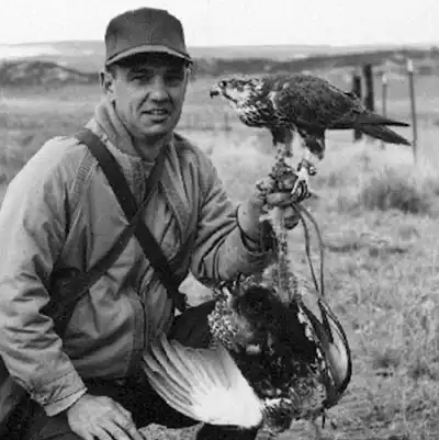 Honoree - Dan A. Cover