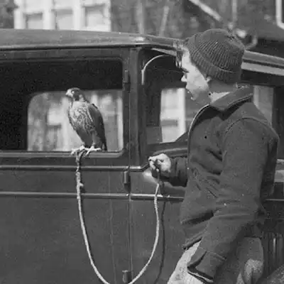 Honoree - Frank C. Craighead